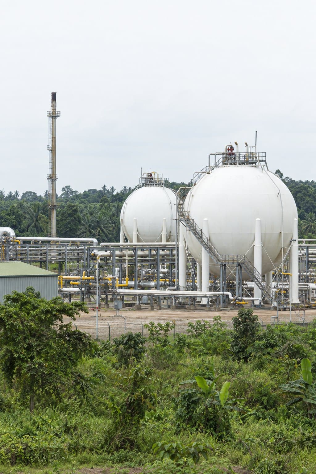 Gas & LNG