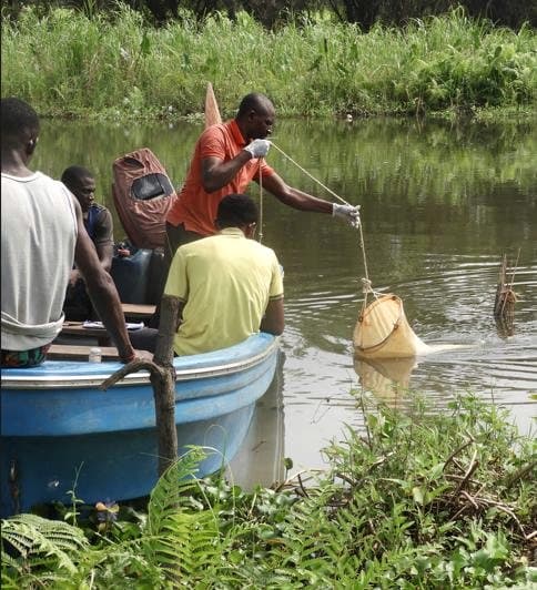 Creek water sampling